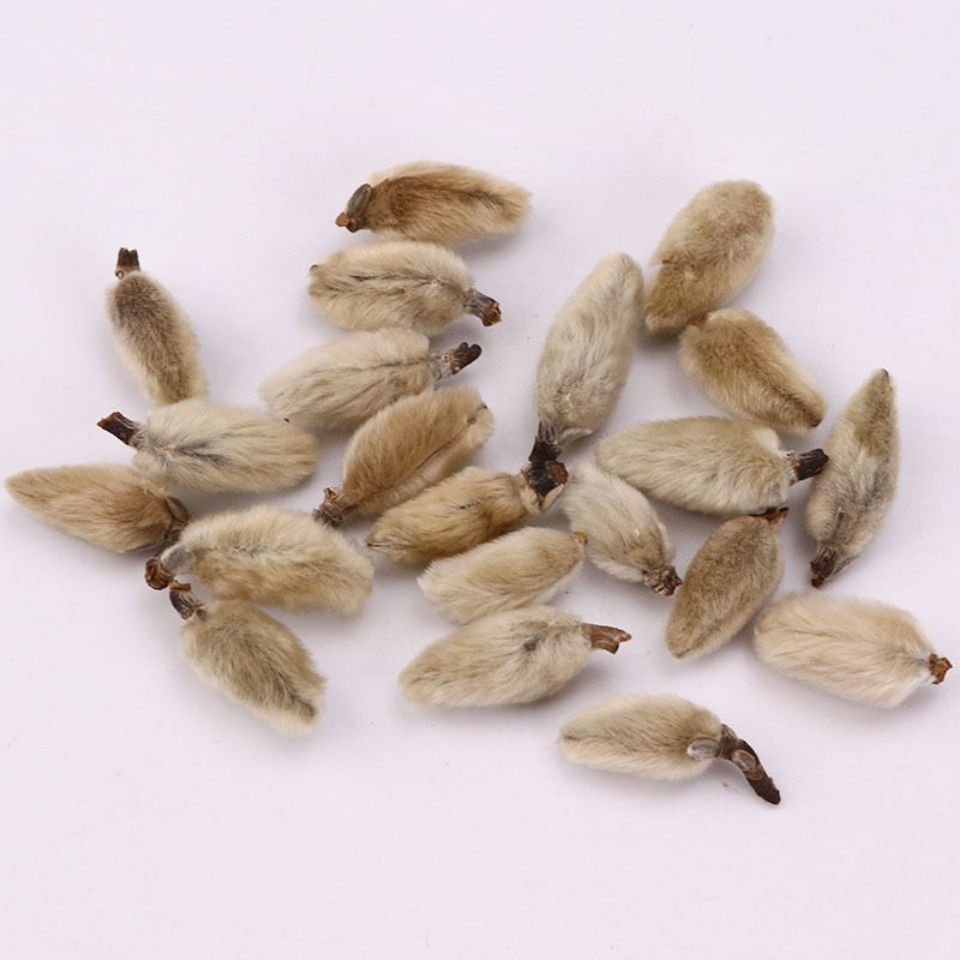 北京同仁堂原料辛夷花中药正宗辛夷花炎鼻辛夷花泡水野生感昌辛夷花