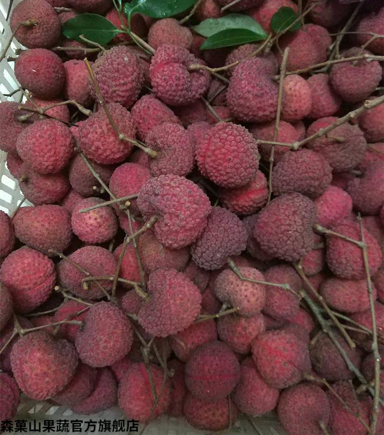 森菓山【顺丰】福建蜜丁香荔枝王新鲜 当应季孕妇水果蜜丁香小籽荔枝