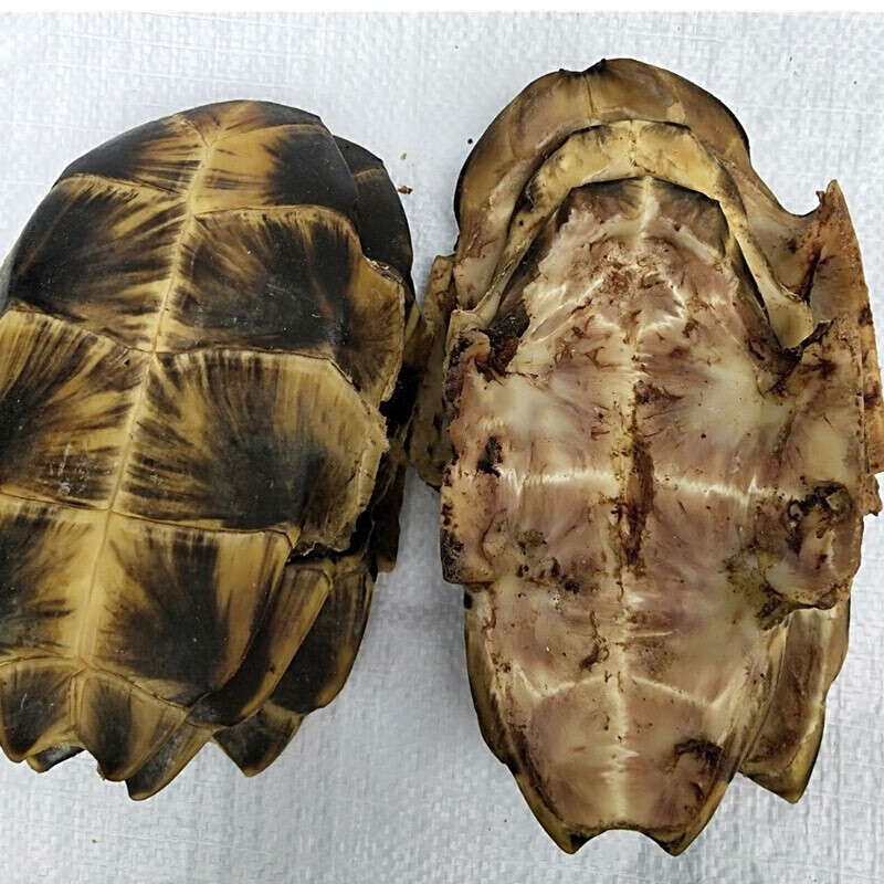 官方旗舰龟板中药材生龟板龟甲500克磨龟板粉