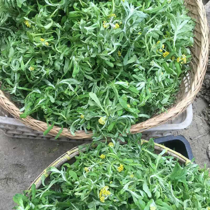 清明粑粑湖南特产水牛花粑粑艾草野菜粑粑清明草鼠曲草粑粑现做1斤1斤