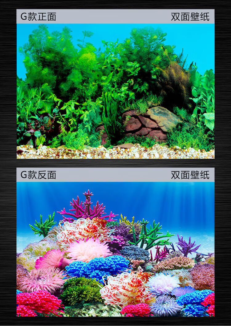 vakada魚缸背景貼紙d背景圖高清水族魚缸壁紙造景裝飾畫珊瑚石紙畫g