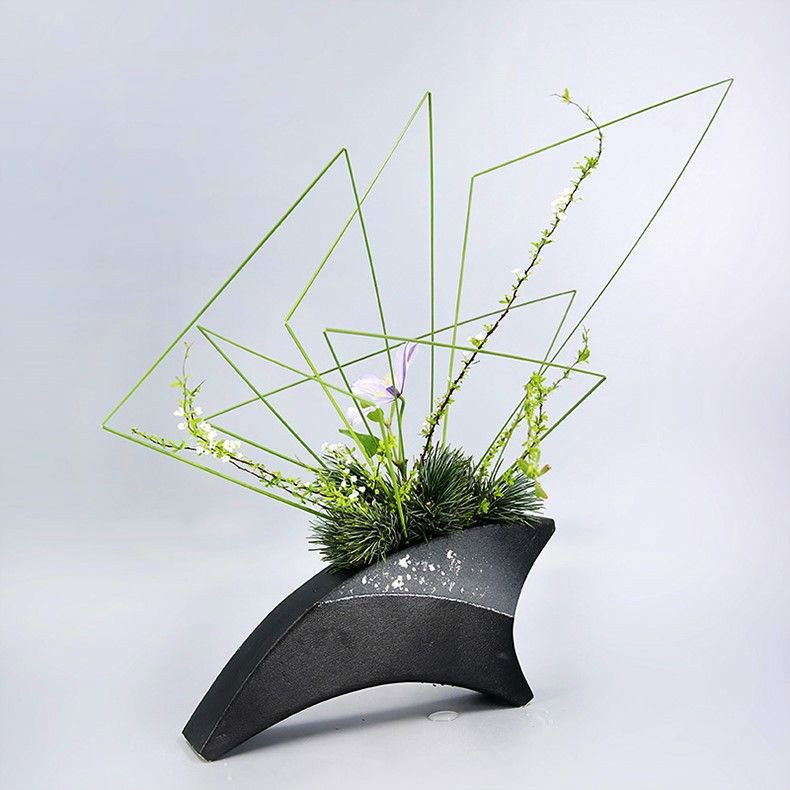 钢草中式日式花道插花花材小原流池坊自由花草月流盛花插花材料虎雀钢