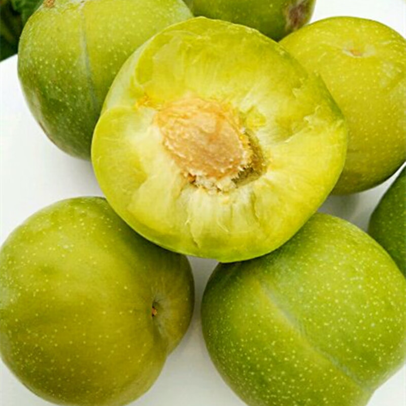 【顺丰空运】四川青脆李子 5斤脱骨空心汶川茂县凤仪镇串马村新鲜水果