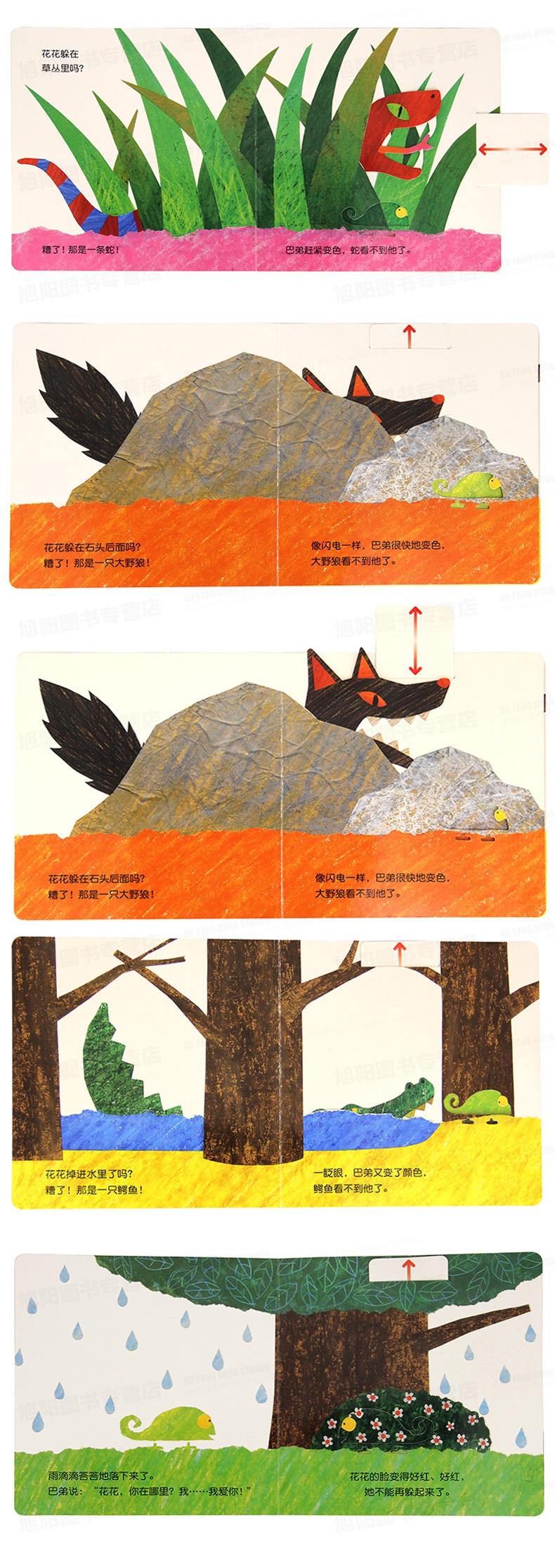 变色龙捉迷藏正版精装少低幼儿童宝宝启蒙早教认知子绘本故事图书籍