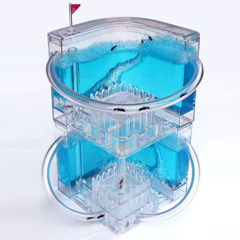 蚂蚁城堡家园庄园蚁后窝 蚂蚁宠物蚂蚁活体幼儿学玩具 单层红紫色 30