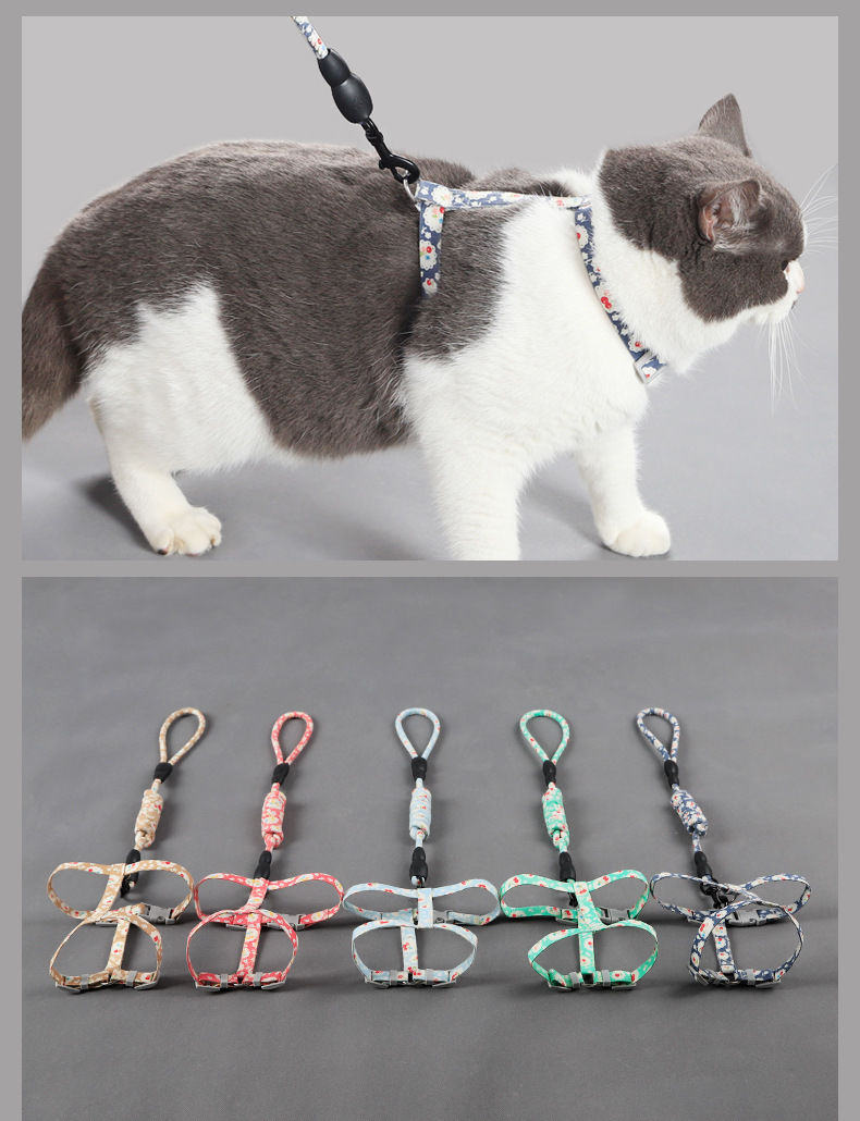 y猫咪防挣脱牵引绳遛猫绳猫胸背带可调节日系潮品幼猫链子宠物用品卡
