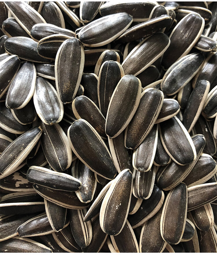 生瓜子2021新货大颗粒散装15斤毛嗑葵花籽内蒙新鲜爪子原味现炒货生