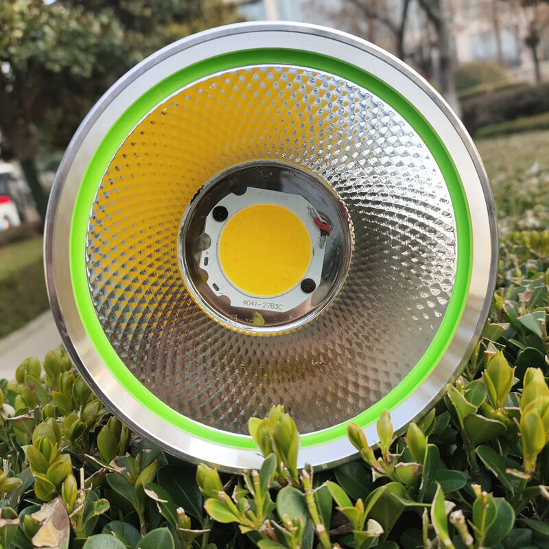 赶海头灯 捕鱼蛐蛐黄鳝蚂蟥头灯强光黄光白光大光斑钓鱼赶海超亮大