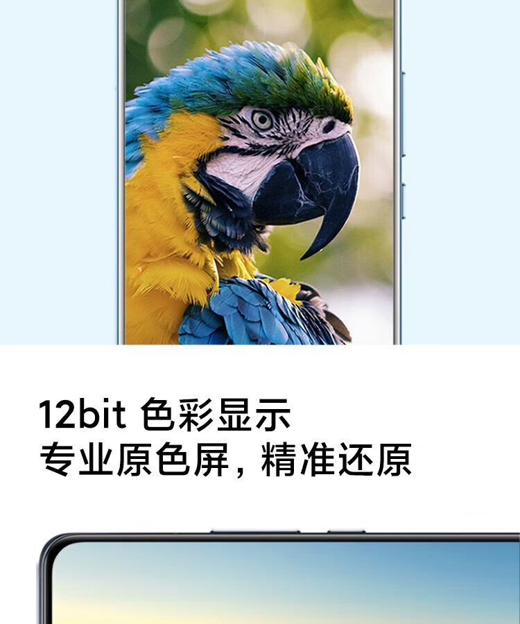 cd097c3c5379c469.jpg