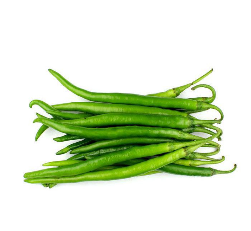 杭椒一号辣椒种子线椒种子早熟高产辣味浓辣椒种子杭椒七号种籽 杭椒