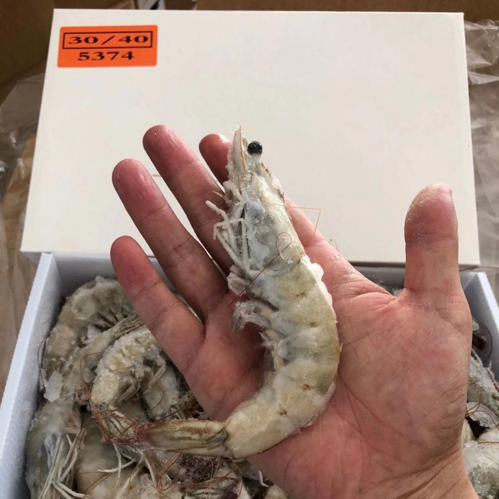白盒海捕盐冻虾33斤左右7080只单冻非冰冻对虾4050白对虾4050两盒