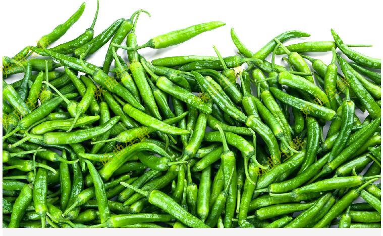 【顺丰】樟树港辣椒 湘阴特产 新鲜蔬菜辣椒 湖南辣椒 2500g