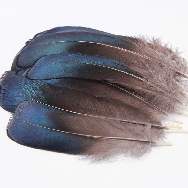 10根装孔雀羽毛野鸡羽毛天然野鸭羽毛鸭翠diy演出装饰小刀1015厘米10