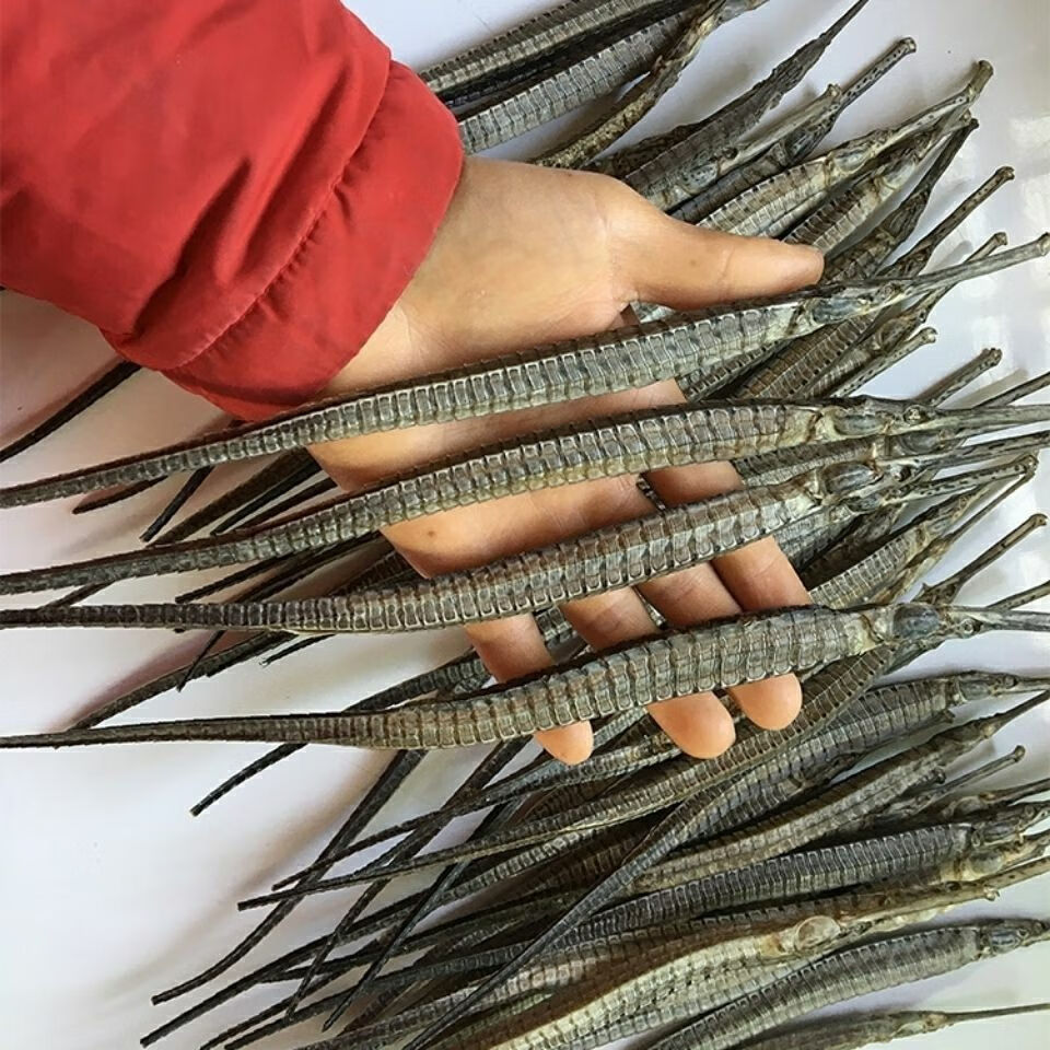 海龙马干货六角大海龙海龙药材公母海产干货滋补中药材泡酒料批发 1条