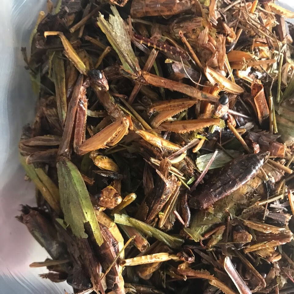 野生中药材螳螂干 刀螂干品昆虫类保质保量品种齐全20~100克 20克