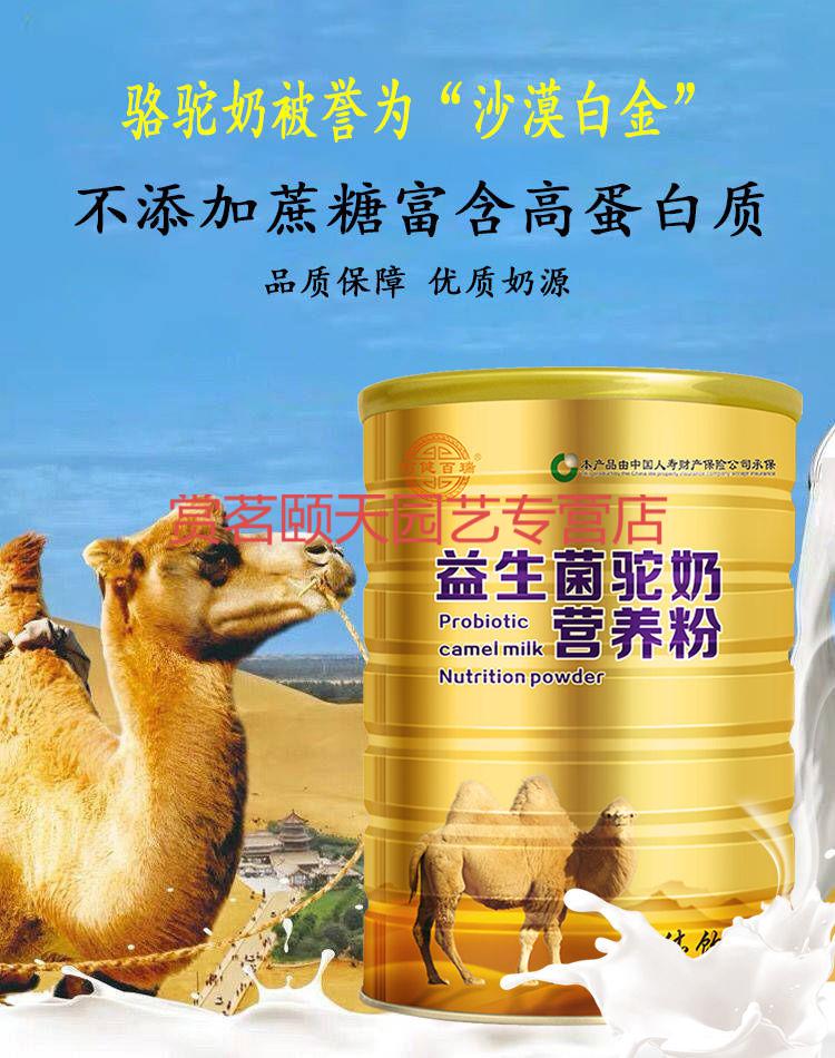 新疆益生菌骆驼奶粉 钙铁锌学生成人老年营养粉390g 益生菌驼奶390g