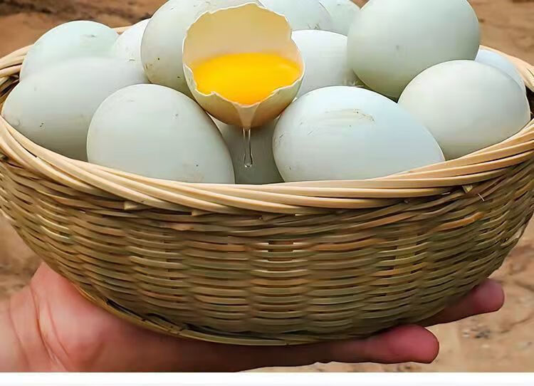 国产特大散养生鸭蛋土鸭蛋贾鲁河畔现捡新鲜笨鸭蛋草鸭蛋整箱 红心鲜