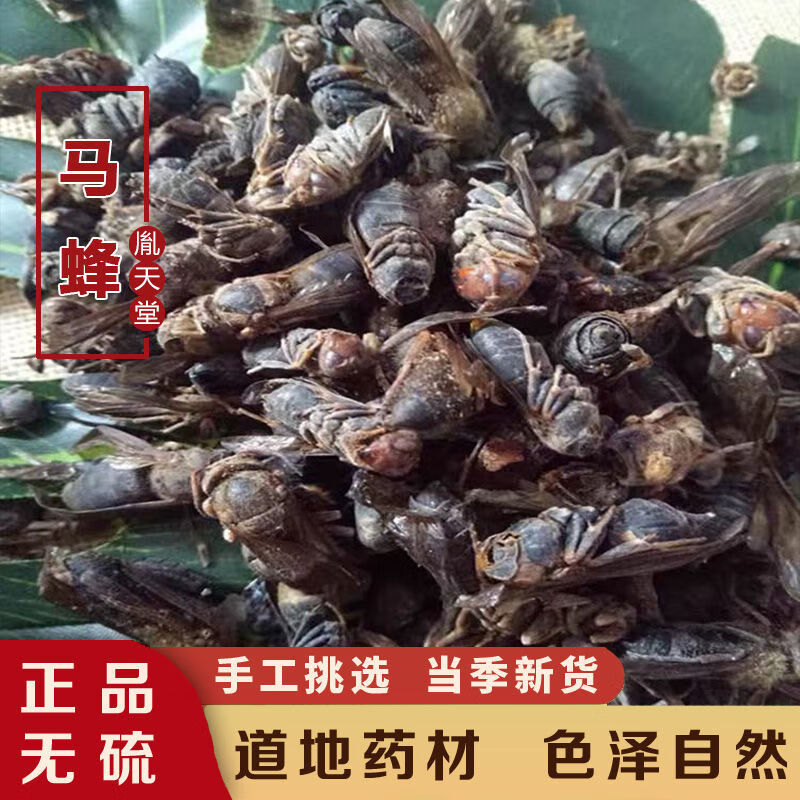 北京同仁堂原料马蜂干 中药材 泡酒大黄蜂 马蜂 葫芦蜂 50g内廷上用