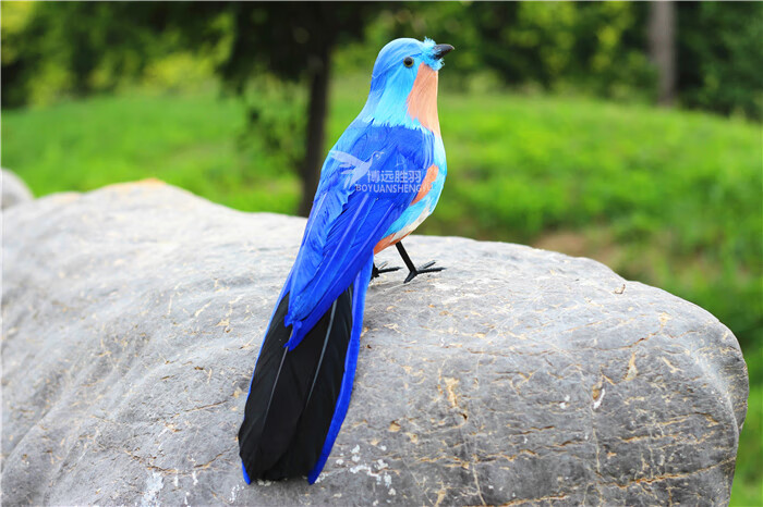 仿真鸟类标本仿真喜鹊鸟摆件教学模型羽毛鸟工艺鸟类飞禽标本创意礼品