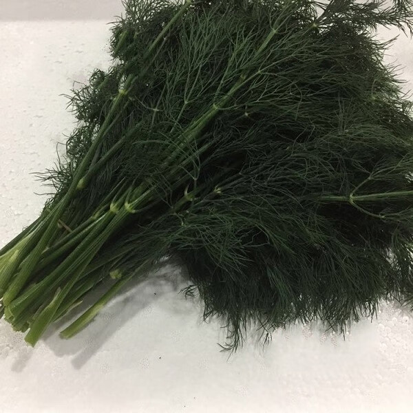 新鲜莳萝草 泰国香料 dill 刁草 土茴香250g【图片 价格 品牌 报价】