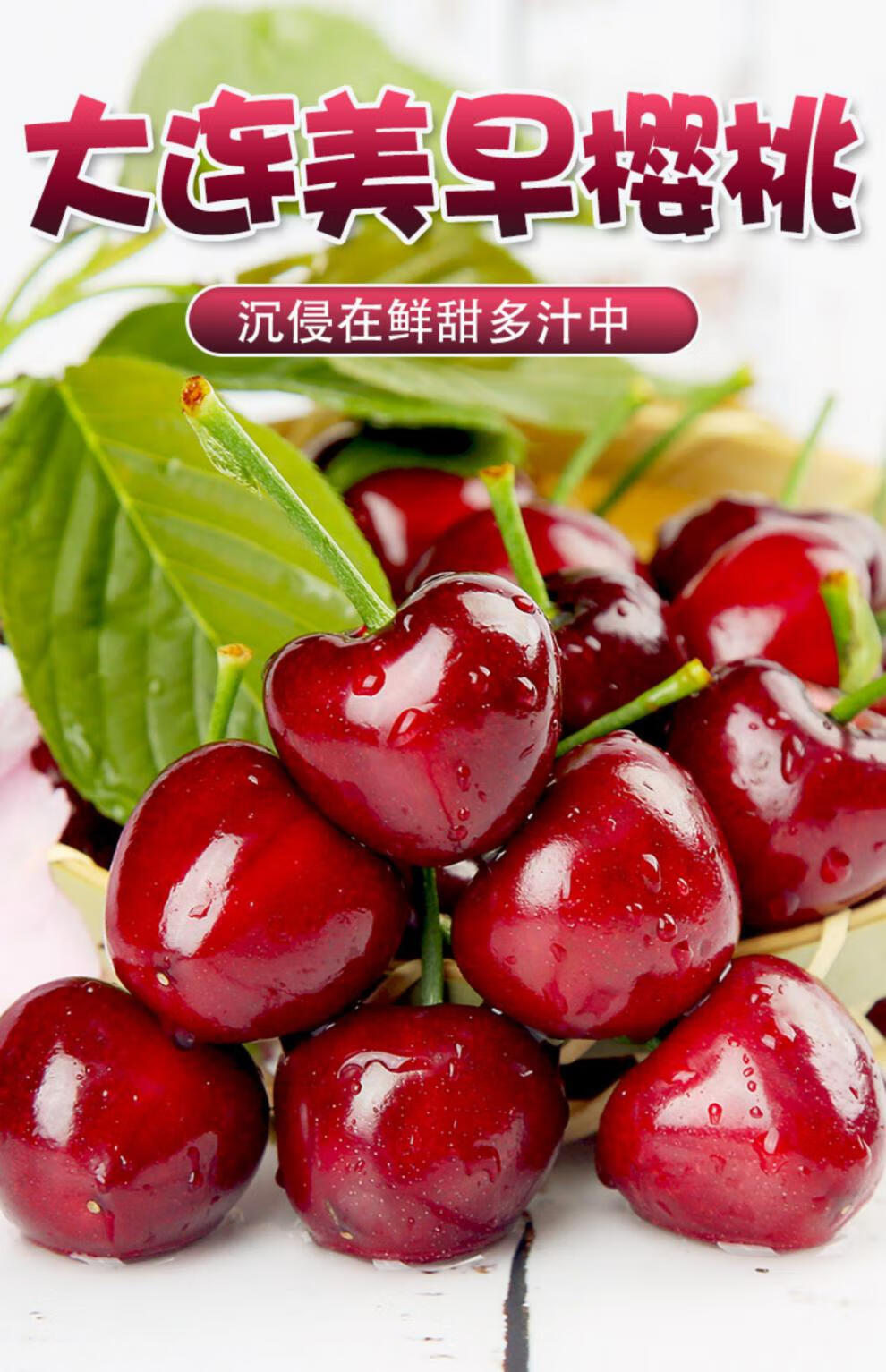 顺丰空运多地隔日达美早大樱桃大连正宗新鲜水果特大果国产车厘子孕妇