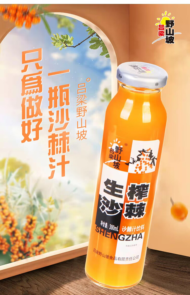 野山坡沙棘汁 山西特产吕梁野山坡沙棘汁生榨沙棘果汁网红饮料天然