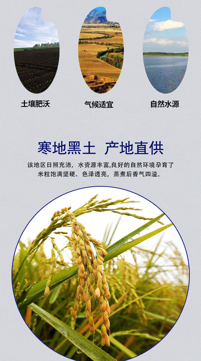 当季新米绿源珍珠大米5斤10斤东北长粒香米新米现磨高端尊享特选东北