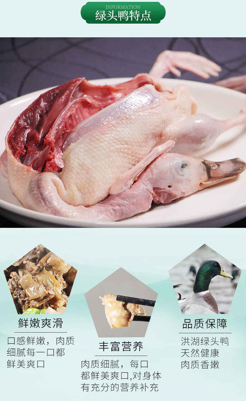 顺丰老飞鸭洪湖飞鸭会飞鸭子绿头鸭新鲜老鸭老鸭生鲜麻鸭嫩绿头鸭两只