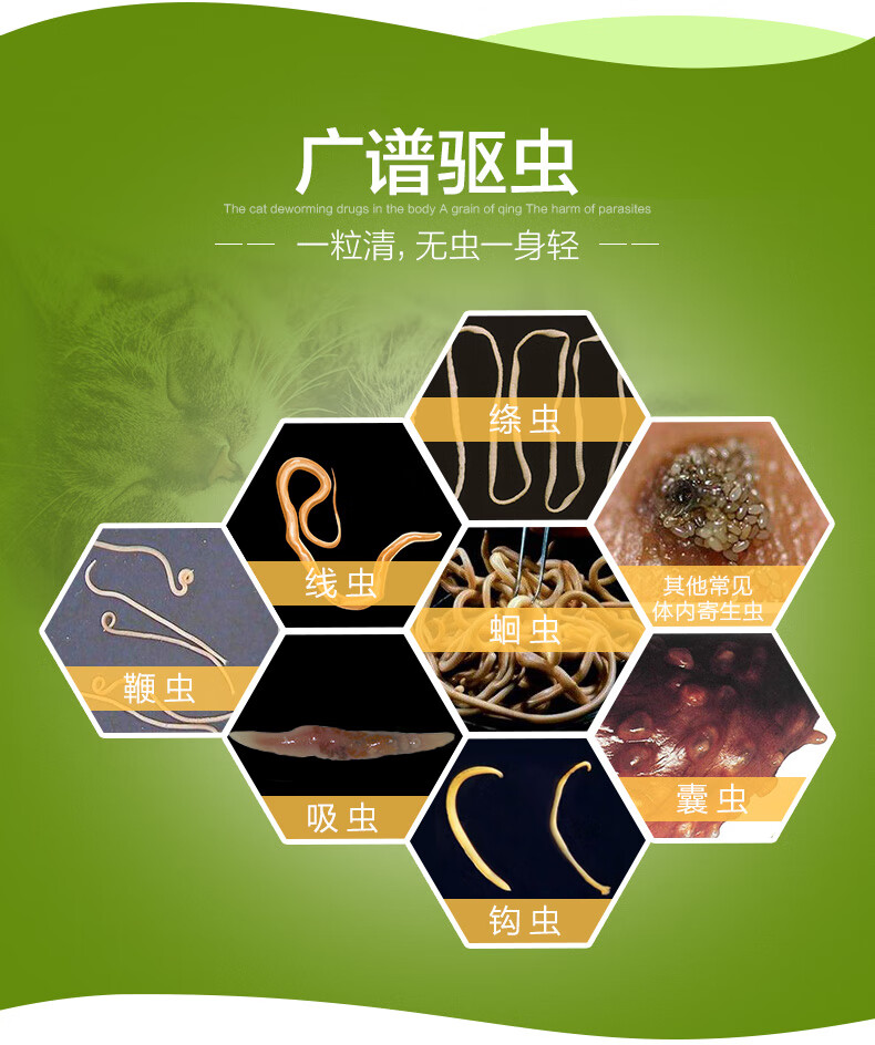 【预售】博来恩猫咪体内体外驱虫药福来恩内外同驱幼猫去跳蚤虱子螨虫