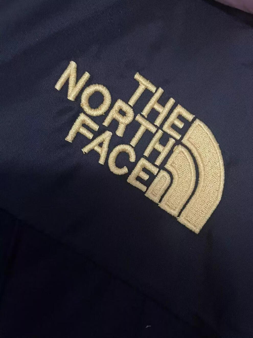 【商场同款】thenorthface北面脑死亡联名冲锋衣防风防水gtx三合一