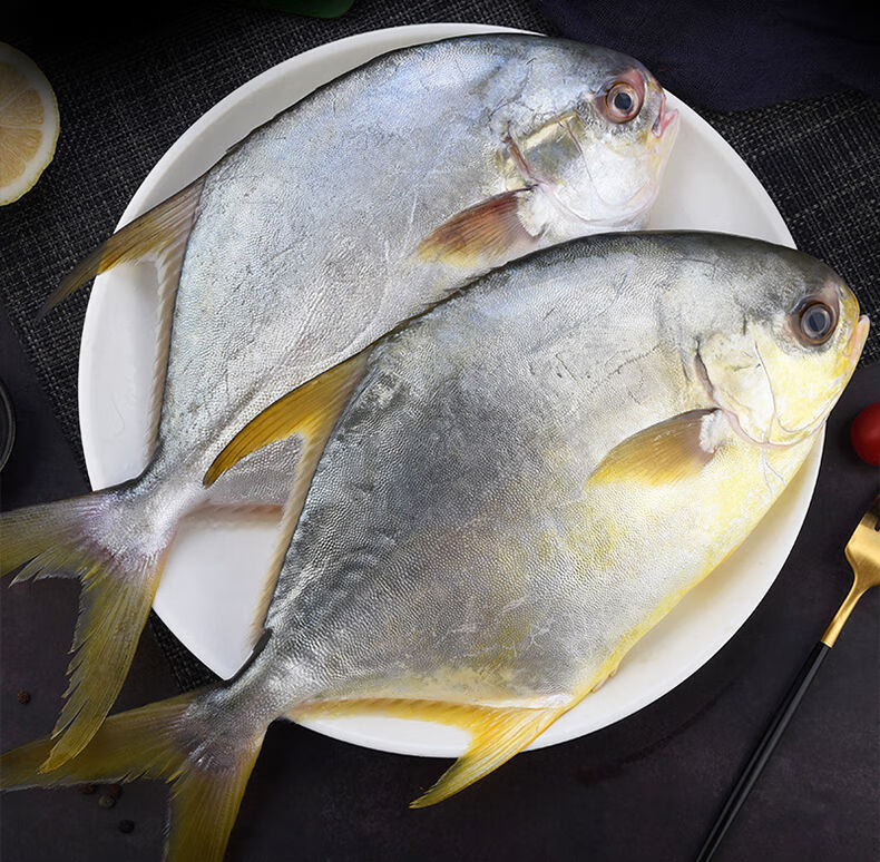新鲜金鲳鱼鲜活冷冻特大金昌鱼平鱼海昌白鲳鱼深海海鲜