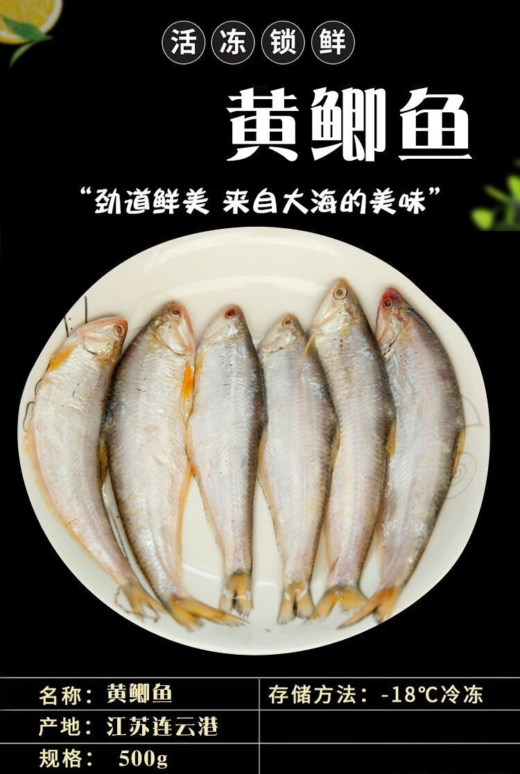 黄鲫子鱼价格图片