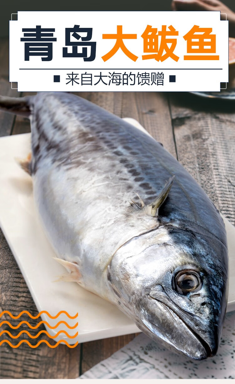 棠鲜生青岛大鲅鱼整条海鱼似马鲛鱼生鲜鱼类6斤装
