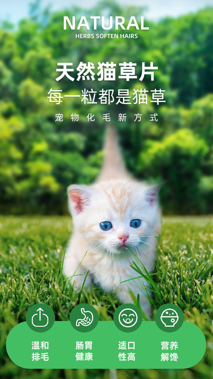 猫草片猫咪排毛球去毛球吐毛肠胃调理猫咪营养化毛膏即食猫草片1罐