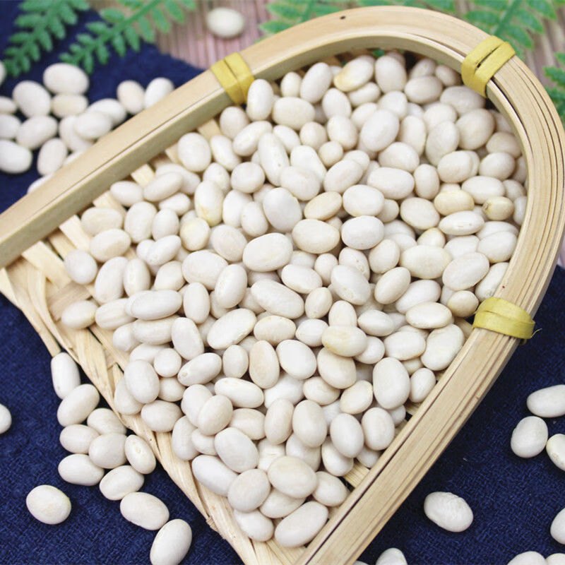 小白豆珍珠豆5斤云南农家自种小白芸豆炖菜煲汤打豆浆豆类杂粮1斤珍珠