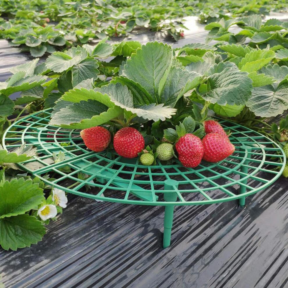 家庭种植架器防倒伏植物果实支撑园艺用品草莓套袋100个中等