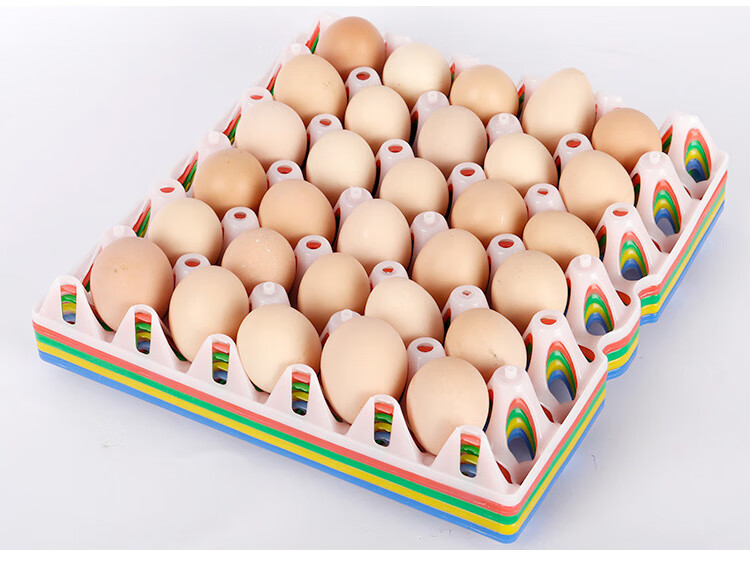 加厚塑料蛋托30枚鸡蛋托收纳叠加长途运输家禽养殖鸡鸭鹅蛋格托盘