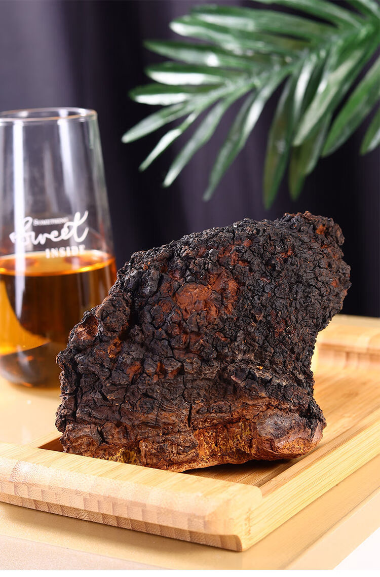 桦树茸整块原块大块白桦茸不切整棵桦褐孔菌俄罗斯桦树茸整块原块 2