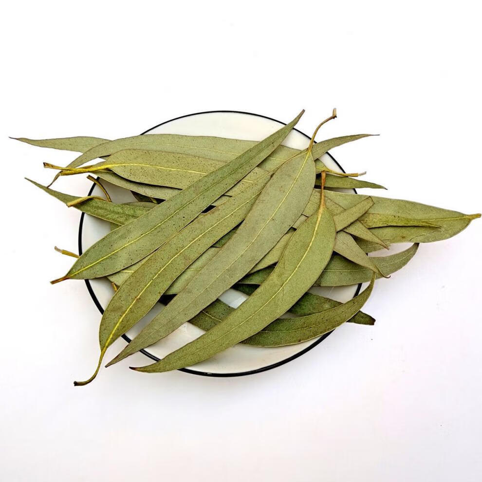 桉树叶 大叶桉 大桉树叶 橡树叶桉叶 250g【图片 价格 品牌 报价】