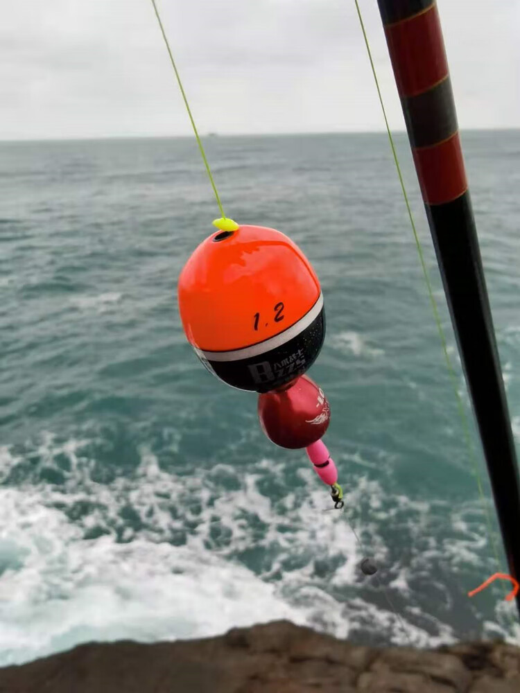 枫岚情阿波漂阿波浮漂全游动阿波浮漂海钓浮游矶钓半游动灵敏防撞抗浪