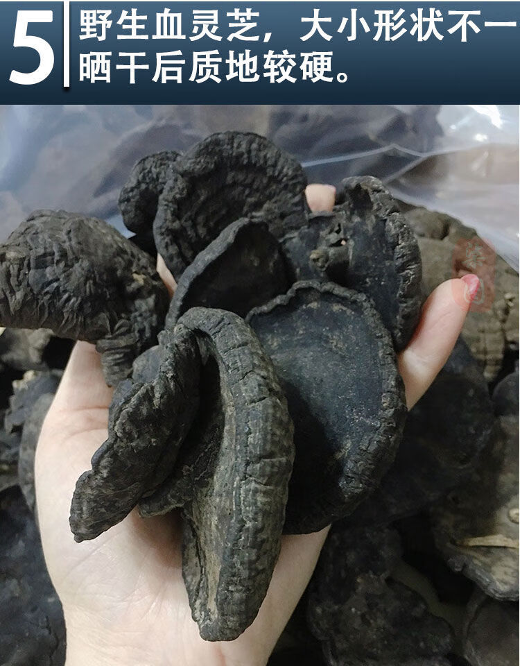 竺芝堂血灵芝皱盖假芝黑灵芝香深山采摘乌芝灵芝片泡茶煲汤泡酒料野生