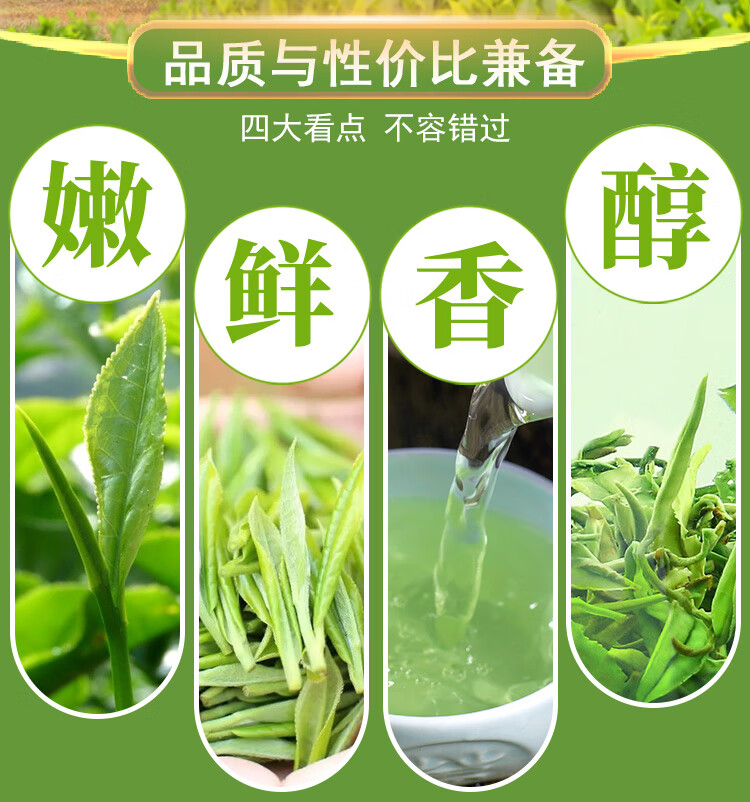 fghgf 陕西汉中特级西乡炒青绿茶浓香耐泡富硒茶 耐泡富硒茶【图片