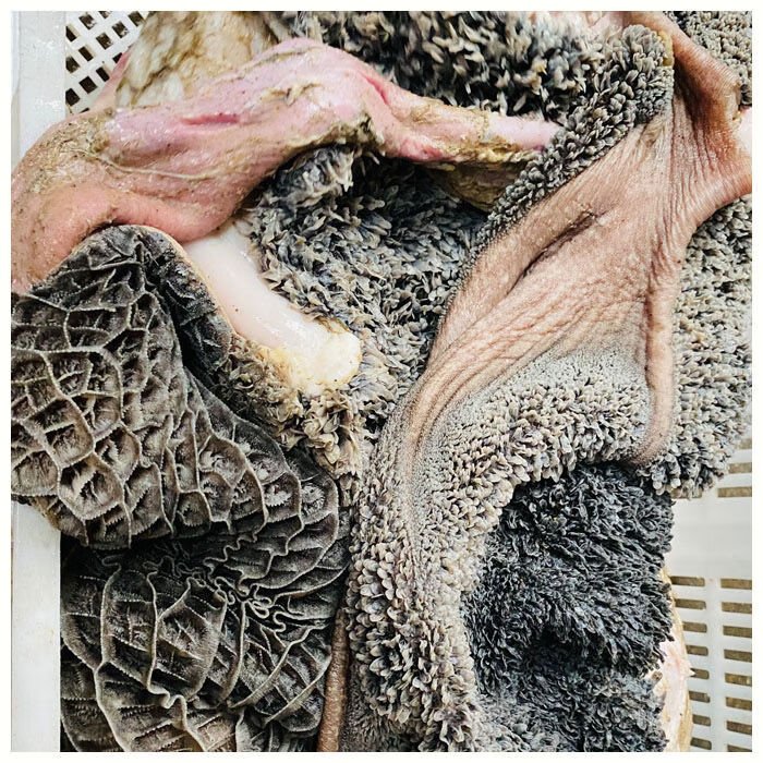 生牛肚带毛牛肚子牛肚新鲜牛肚生牛肚毛肚10斤