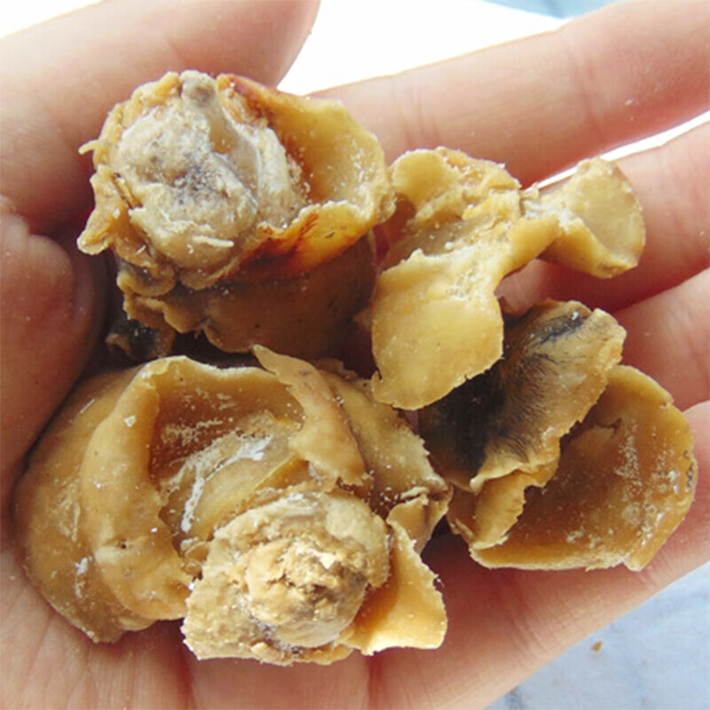 渔民自晒香螺肉干淡晒大海螺肉干响螺海鲜水产干货500g