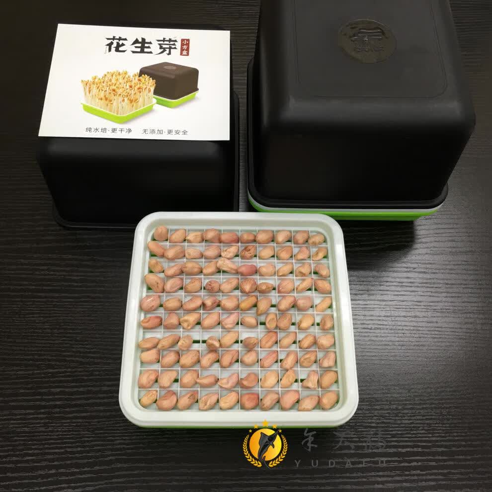花生芽育苗盘花生芽发芽神器水培箱育苗盘种植盘盒专用盘发花生芽盆