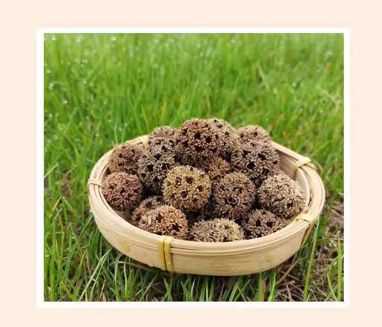 路路通中药材 枫子球 枫香果 枫杨树球 枫树球 枫球子可搭配通草 精选