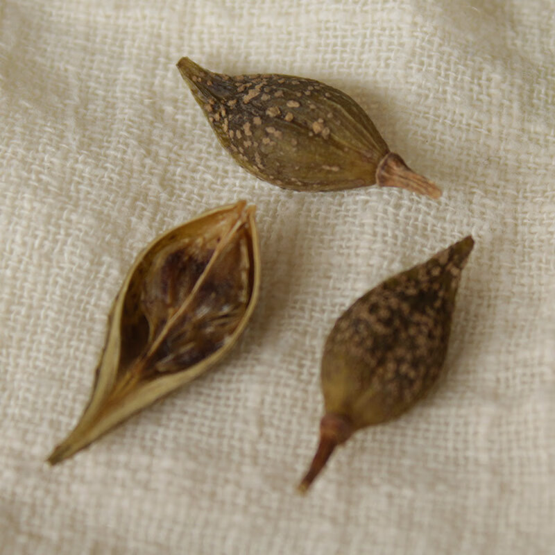 新货秦岭连翘500g中药材空壳大翘子青翘老翘中草药连翘茶九九和仁