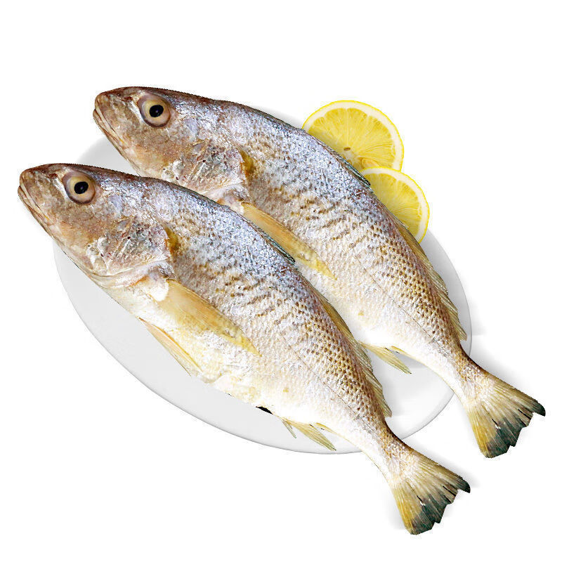 大黄鱼黄姑鱼小黄花5斤新鲜冷冻生鲜鲜活海鲜深海鱼1斤超大海鱼整箱大