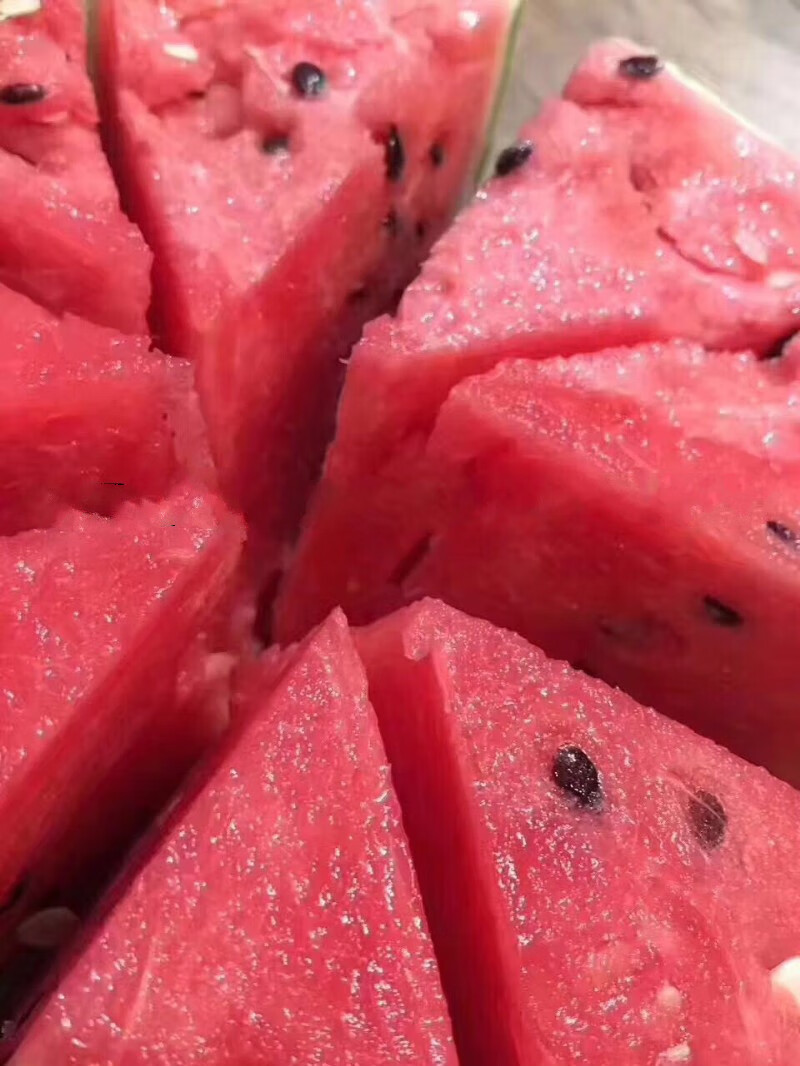 上海南汇8424西瓜黑籽 28斤新鲜水果非海南麒麟西瓜