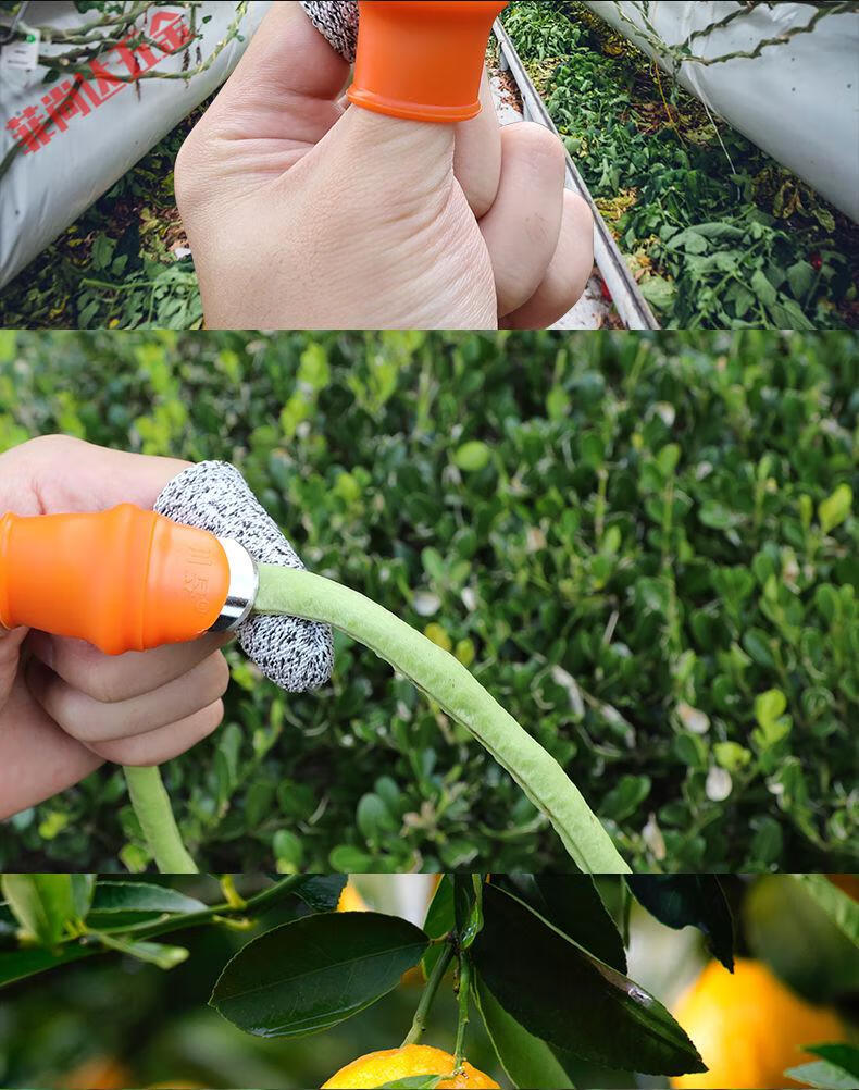 摘花椒神器手指套铁指甲手套护甲摘菜专用农用拇指刀摘辣椒掐择菜小号